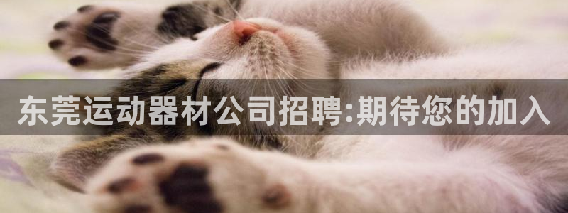 意昂体育4招商电话是多少：东莞运动器材公司招聘:期待