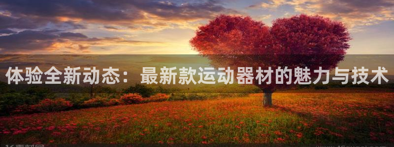 意昂4娱乐首页网站大全：体验全新动态：最新款运动器材