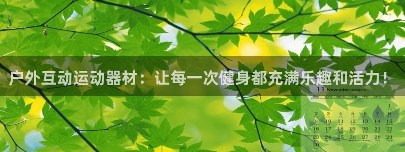 意昂体育4平台：户外互动运动器材：让每一次健身都充满