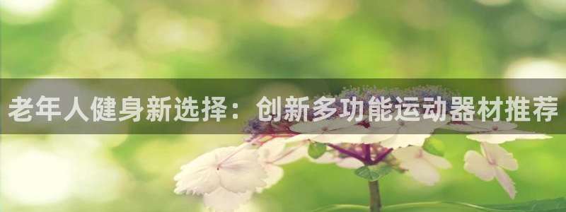 德国意昂4集团：老年人健身新选择：创新多功能运动器材