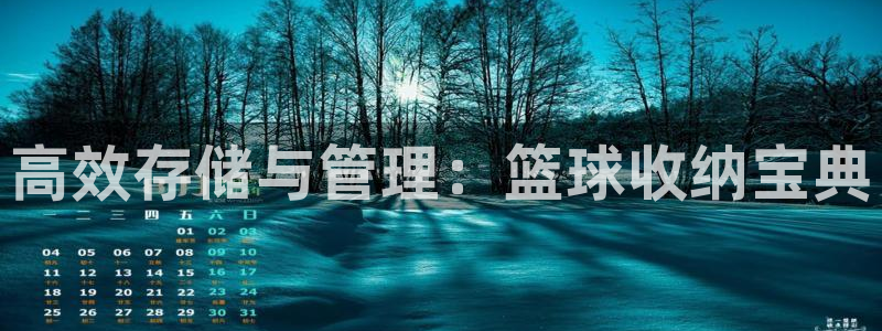意昂体育4招商电话：高效存储与管理：篮球收纳宝典