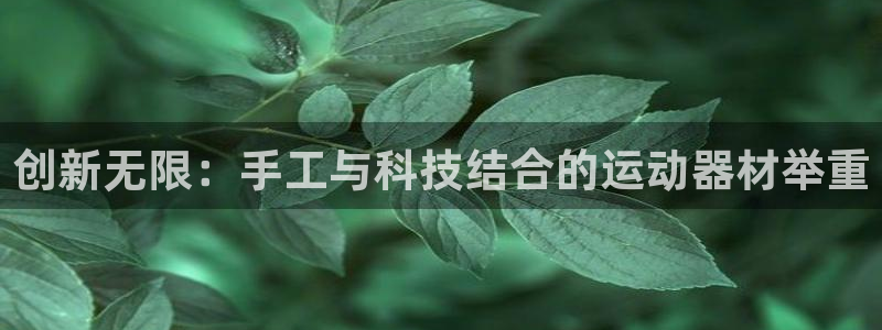 意昂体育4软件：创新无限：手工与科技结合的运动器材举重