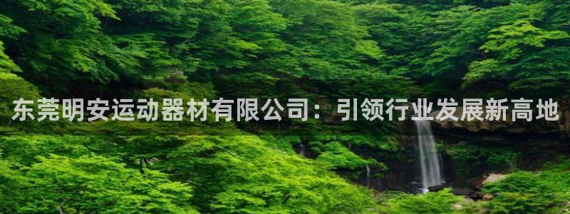 意昂体育4平台：东莞明安运动器材有限公司：引领行业发展新高地
