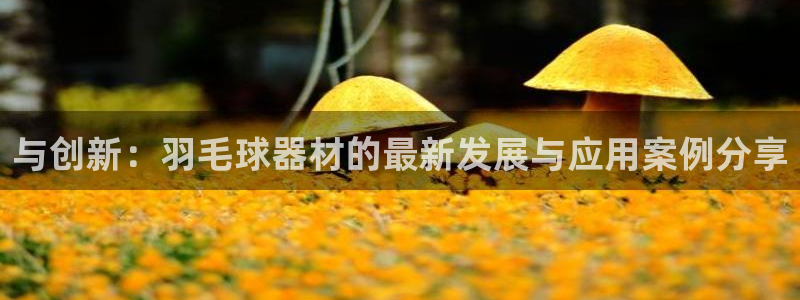 意昂体育4联系电话：与创新：羽毛球器材的最新发展与应用案例分