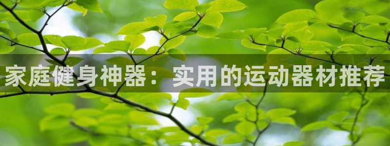 意昂体育4平台注册：家庭健身神器：实用的运动器材推荐