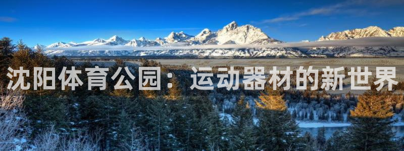 意昂4娱乐网站：沈阳体育公园：运动器材的新世界