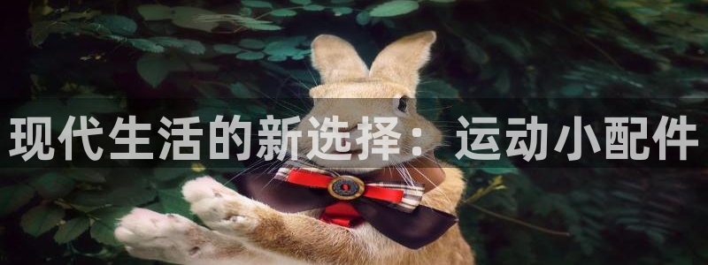 意昂体育4平台：现代生活的新选择：运动小配件